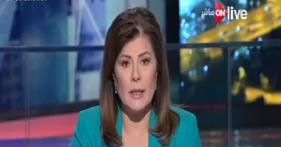 أمانى الخياط: أغنياء أمريكا يدافعون عن قانون بيع الأسلحة للأفراد