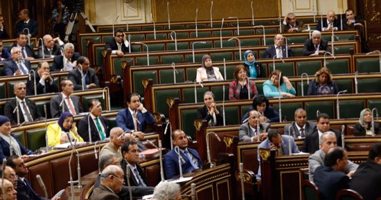 النائبة سيلفيا نبيل تبدأ كلمتها فى الجلسة العامة بـ"صلاح الخير"