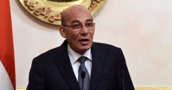وزير الزراعة يرسل قافلة بيطرية إلى وادى الصعايدة فى أسوان