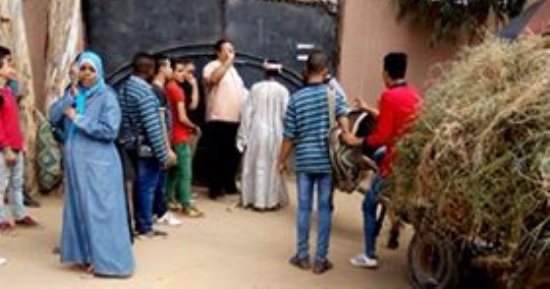  عربة "كارو" تتجول بمدرسة سياحة وفنادق ثانوى بكرداسة