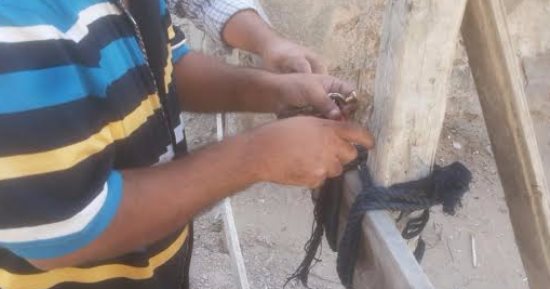 غلق شركة المستودعات المصرية ومقهيين ومحل جزارة غرب الإسكندرية