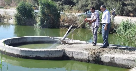 محافظ البحر الأحمر يأمر برش المبيدات فى الغابة الشجرية بالغردقة