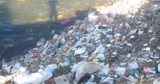 بالصور.. شكوى من انتشار القمامة بمياه النيل فى قرية قلندول بالمنيا