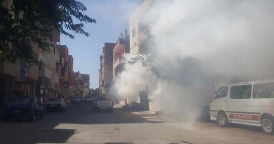 لمواجهة حمى الضنك .. فرق تطهير من القابضة للمياه ومحافظات الصعيد لمساعدة البحر الأحمر ..تغيير وتطهير أكثر من 400 خزان مياه.. ومديريات "الصحة والطب البيطرى والزراعة" تبدأ خطة المواجعة برش المبيدات الكيماوية