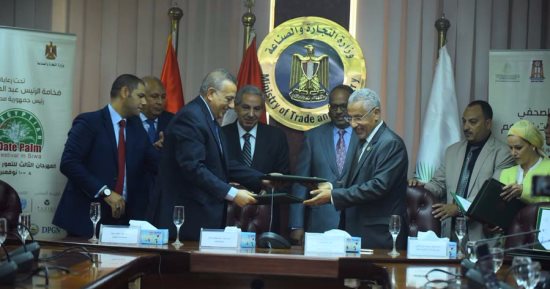 محافظة الجيزة: مذكرة تفاهم لإنشاء مخازن مبردة للتمور بالواحات