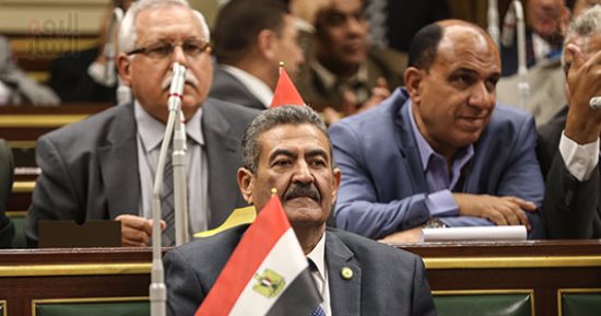 بالصور.. برلمانية الشعب الجمهورى: كل المسؤولين يخضعون للرقابة الإدارية دون خطوط حمراء