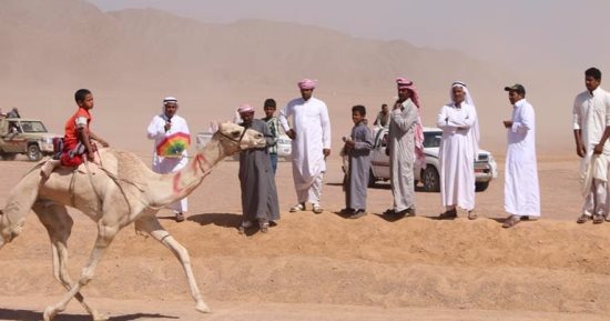 بالصور انطلاق سباق الهجن والشعر النبطى بوادى مجرح بمدينة نويبع