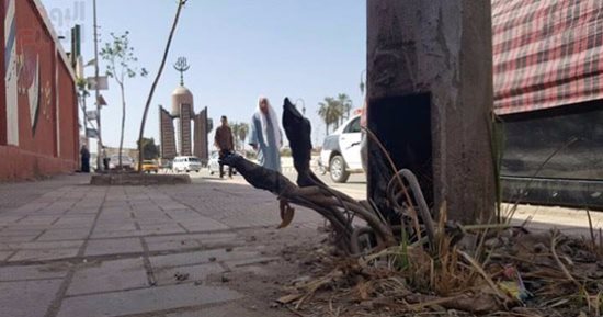 بالصور.. اضبط مخالفة: أسلاك كهرباء عارية بشوارع أسيوط تهدد حياة المواطنين