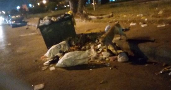 قارئ يشكو انتشار القمامة فى ميدان تريومف بمصر الجديدة