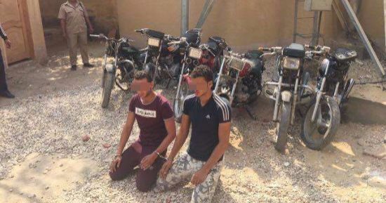 القبض على تشكيل عصابى لسرقة الدراجات البخارية فى المنوفية