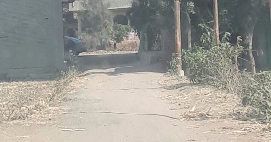 شكوى من التعدى على حرم الطريق وتعطل سير السيارات بمركز بسيون فى الغربية