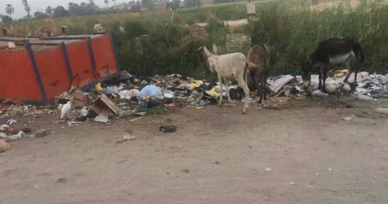 قارئ يشكو القمامة بمدخل قرية الجلاوية فى سوهاج