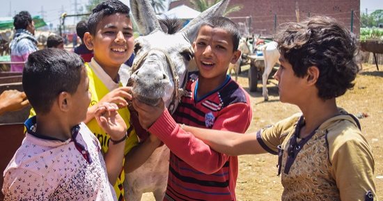 صورة اليوم.. اضحك الصورة تطلع حلوة