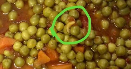 صور..ديدان بأحد وجبات المدينة الجامعية بالمنوفية ورئيس الجامعة يشكل لجنة للتحقيق