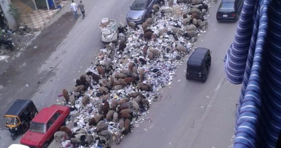 رغم تنظيفها كل 3 أيام.. أكوام القمامة تغطى شارع بشتيل العمومى بالجيزة