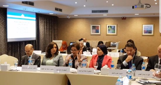 عبلة عبد اللطيف: نحتاج كيان مؤسسى للمشروعات الصغيرة والمتوسطة فى مصر