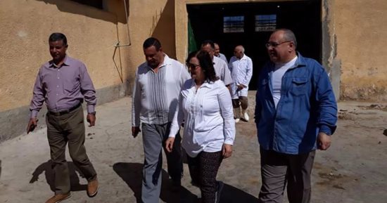 بالصور ..نائب وزير الزراعة للثروة الحيوانية تتفقد المجزر الآلى بسفاجا
