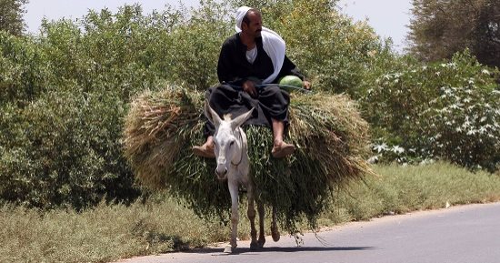 صورة اليوم.. مشوار اسمه حياة