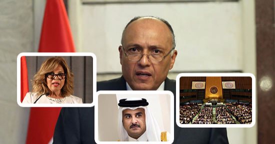 وزير الخارجية: لم يكن بإمكان مصر ترك ساحة "اليونسكو" خالية لمرشح قطرى.. وضعنا معايير لاختيار ممثل مصر وانطبقت على مشيرة خطاب.. ودعمنا "أزولاى" فى السباق لشعورنا بأن الدوحة لا تمثل العرب