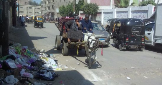 شكوى من تراكم القمامة بمحيط مدرسة صفية زغلول الابتدائية بالمحلة الكبرى