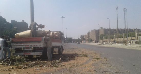 سكان النزهة يتضررون من مذبحة قطع الأشجار بالشوارع