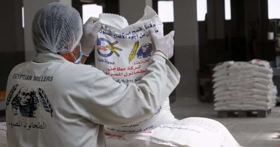 بالصور.. رحلة الذهب الأصفر من الحصاد إلى "رغيف العيش"