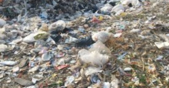 بالفيديو.. "خالف تعرف".. حكاية مصرية ليها العجب هتعرفها فى دقيقتين