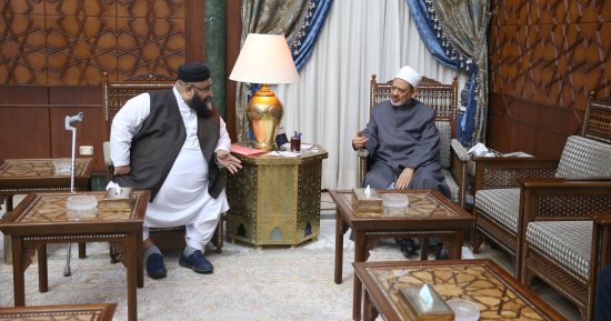 الإمام الأكبر: واجب العلماء السير على خطى القرآن والسنة
