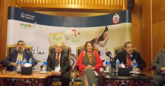 أستاذ مخ وأعصاب: 75 ألف مصرى يصابون بالشلل سنويا نتيجة السكتة الدماغية