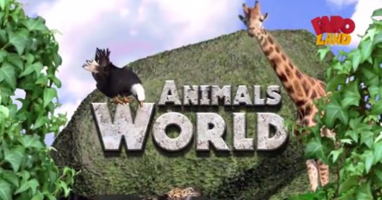 شاهد حكاية الطاووس فى حلقة جديدة من برنامج "Animals world" على فارولاند