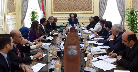 رئيس الوزراء يلتقى رئيس شركة الريف المصرى لمتابعة مشروع المليون ونصف فدان