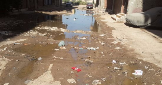قارئ يشكو من انتشار مياه الصرف الصحى بشارع أحمد بن حنبل فى البحيرة