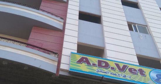 فصل الكهرباء والمياه عن برج سكنى مخالف بالزقازيق تمهيدا لإزالته