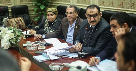 "حقوق إنسان البرلمان" تناقش تقرير زيارة سجن برج العرب الأسبوع المقبل