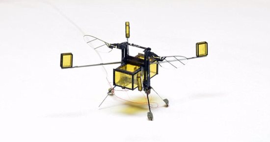 بالفيديو.. RoboBee روبوت صغير جديد يمكنه الطيران والسباحة 