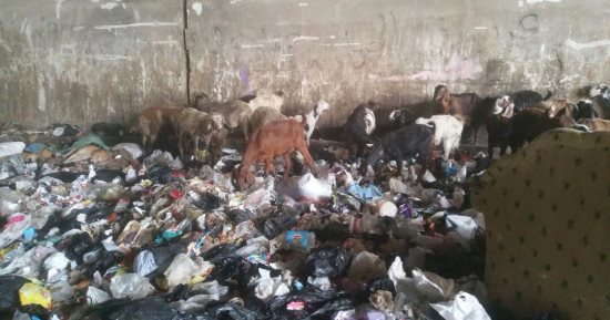 بالصور.. انتشار القمامة بنفق عرابى فى العجوزة