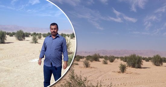 "الزراعة" تصدر نشرة بالتوصيات الفنية لمزارعى الزيتون خلال شهر يونيو