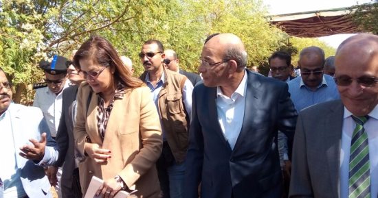 وزير الزراعة: القيادة السياسية حريصة على تنمية سيناء