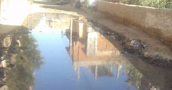 بالصور.. قرية كفر ربيع بالمنوفية تعانى من غرق الشوارع بالمياه الجوفية