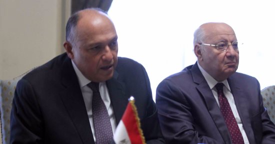 وزير الخارجية: الحكومة تتخذ إجراءات لتطوير المجتمع فى كافة المناحى