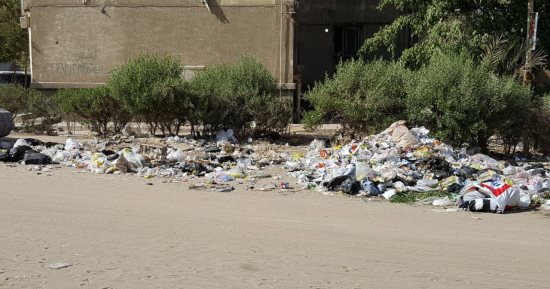 بالصور.. شكوى من انتشار الكلاب الضالة والقمامة بزهراء مدينة نصر
