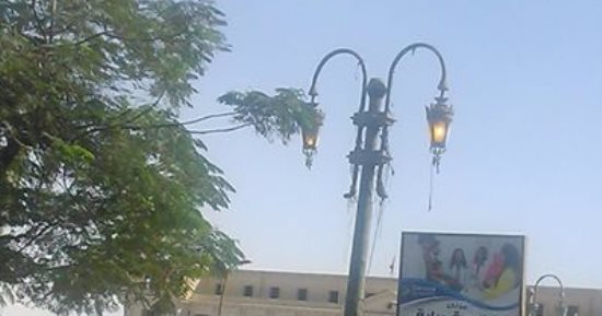 قارئ يرصد إضاءة أعمدة الإنارة نهارا بشارع طه حسين فى المنيا