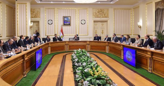 الحكومة تحول الجامعة المصرية للتعلم الإلكترونى الخاصة إلى جامعة أهلية