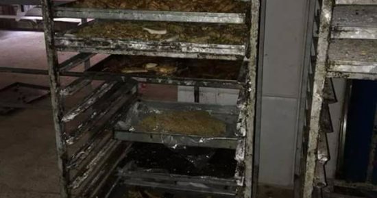 ضبط 8 منشآت غير مرخصة وحلويات فاسدة بحملة تموينية بشبين القناطر