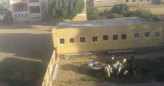 بالصور.. تحول فناء مدرسة نجع الحجيرى بقنا لحظيرة مواشى