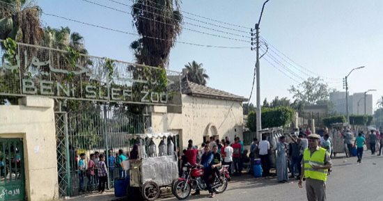 بالصور.. حديقة الحيوان ببنى سويف ملاذ الأسر لقضاء أوقات الفراغ
