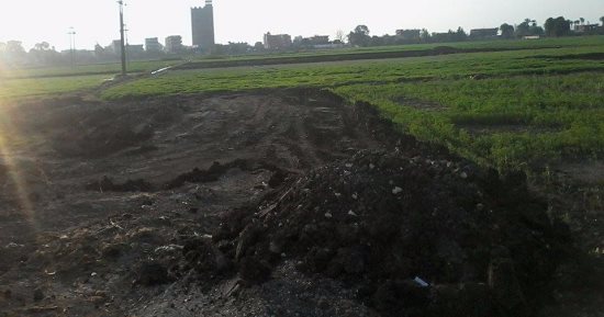 اضبط مخالفة.. إهدار الرقعة الزراعية وتقطيعها وبيعها للبناء بالغربية