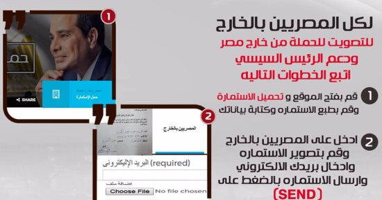 "علشان تبنيها" تصدر استمارات للمصريين فى الخارج عبر موقعها الإلكترونى