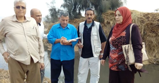 الزراعة تنفذ حملات مكثفة لمكافحة الفئران استعدادا لزراعة القمح