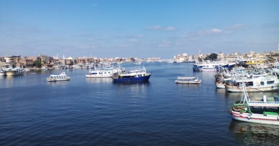 قلعة لصناعة السفن ورزق كبير من البحر بيطل علينا.. عزبة البرج معلم من معالم الصيد في شمال مصر